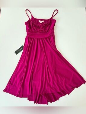 Ann Taylor Magenta Spaghetti-Strap fit & flare Dress